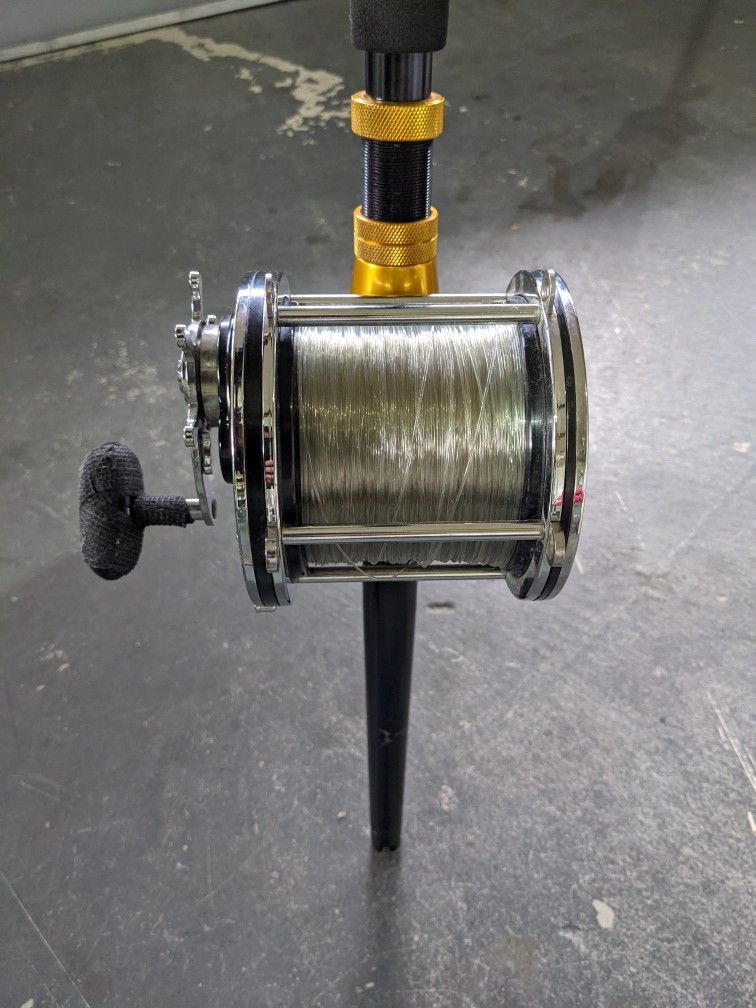 Penn Senator 12/0 With Penn International Rod