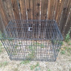 Dog Crate