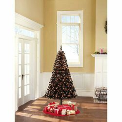 Colorado pine tree 6.5 feet