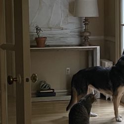 Free Console Table-cracked Glass