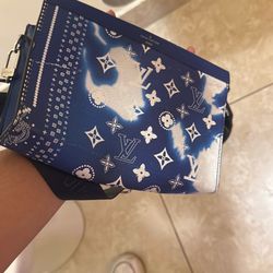 Luis Vuitton bag / wallet