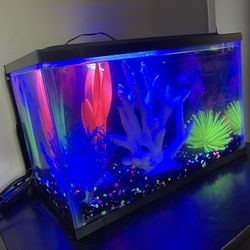 GloFish Glass Aquarium 
