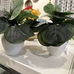 Set Of 2 Indoor Decorate Plant