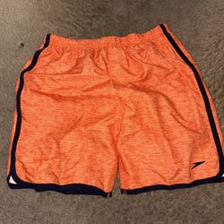 Speedo Swim Shorts