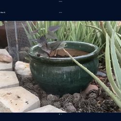 Very Large Flower Pot.   Gardening Accessories. Plant 