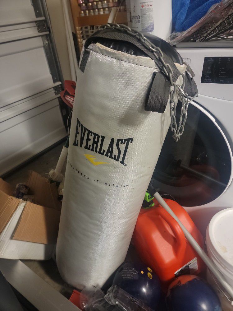 Everlast Punching Bag With Brackets.75 Lbs.sturdy
