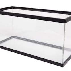 Fish Tanks 