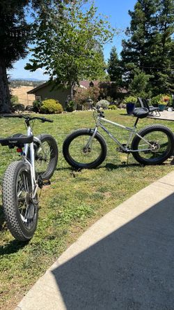 Fat Tire Bikes (two)