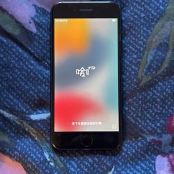 iPhone 7 