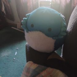 Cella The Bearded Dragon 8