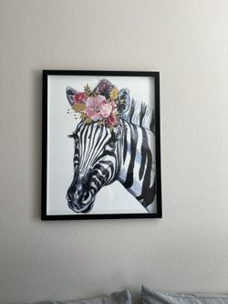 Zebra Picture