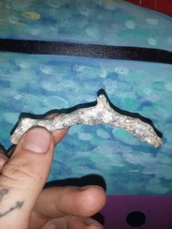 Fossilized Coral Dolphin Piece