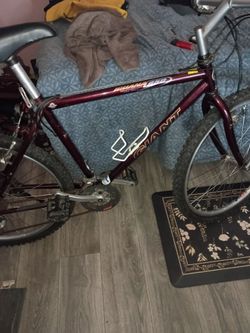 Giant Iguana 650 Mountain Bike