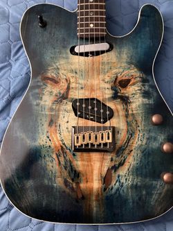 Hand built T- Style guitar