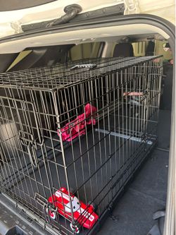 Dog crate with double doors