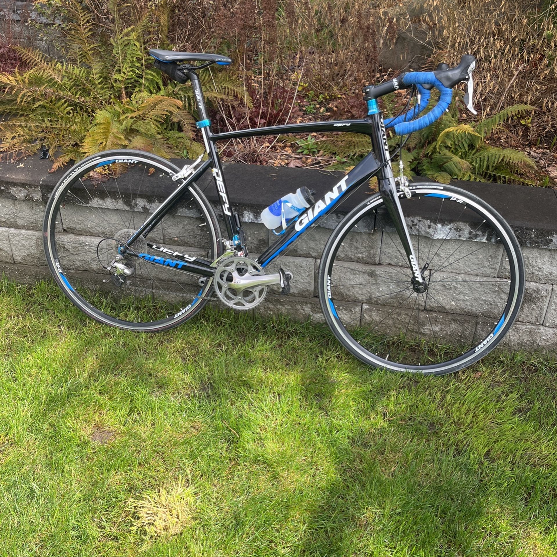 Giant Defy Road Bike