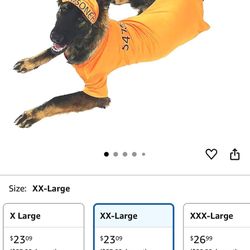 Dog Halloween Costumes 
