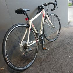 Bike NiSHIKI MARICOPA