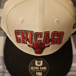 Chicago BULLS HAT 
