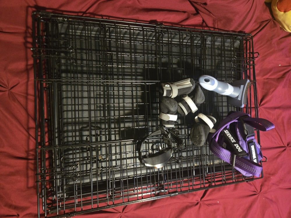 Dog Stuff