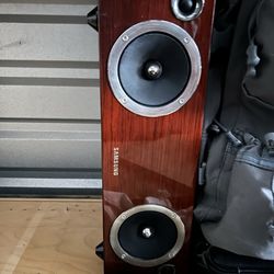 Plug in speaker Samsung