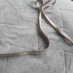 Dog Leash For Small Dog Are Puppy