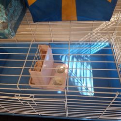 Guinea Pig Cage Or Small Animal