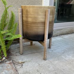 Plant Pot With Standard 