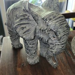 Small pachyderm
