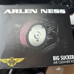 Harley Davidson Iron883 Arlen Ness S1 Air Cleaner Kit