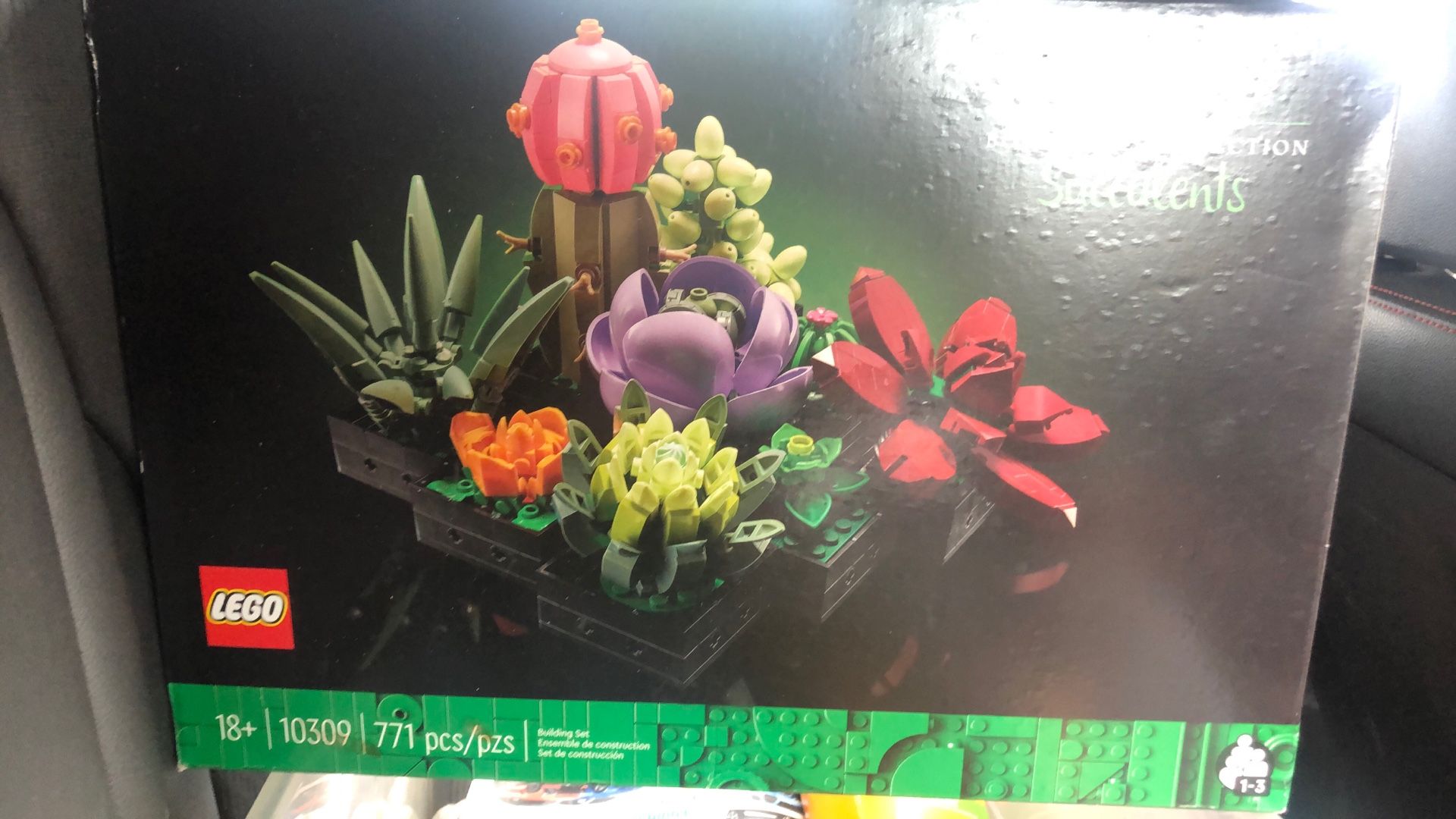 New Lego Botanical Collection Succulents