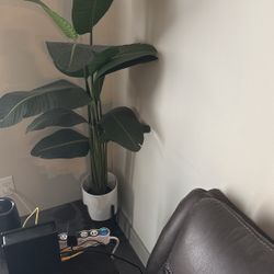 5 Ft Tall Fake Plant 