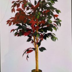 Artificial 4 Feet Ficus Tree