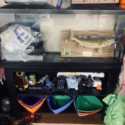 55gal Fish Tank With Stand