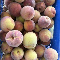 Peaches