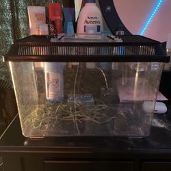 Small Habitat/ Cage Small Size