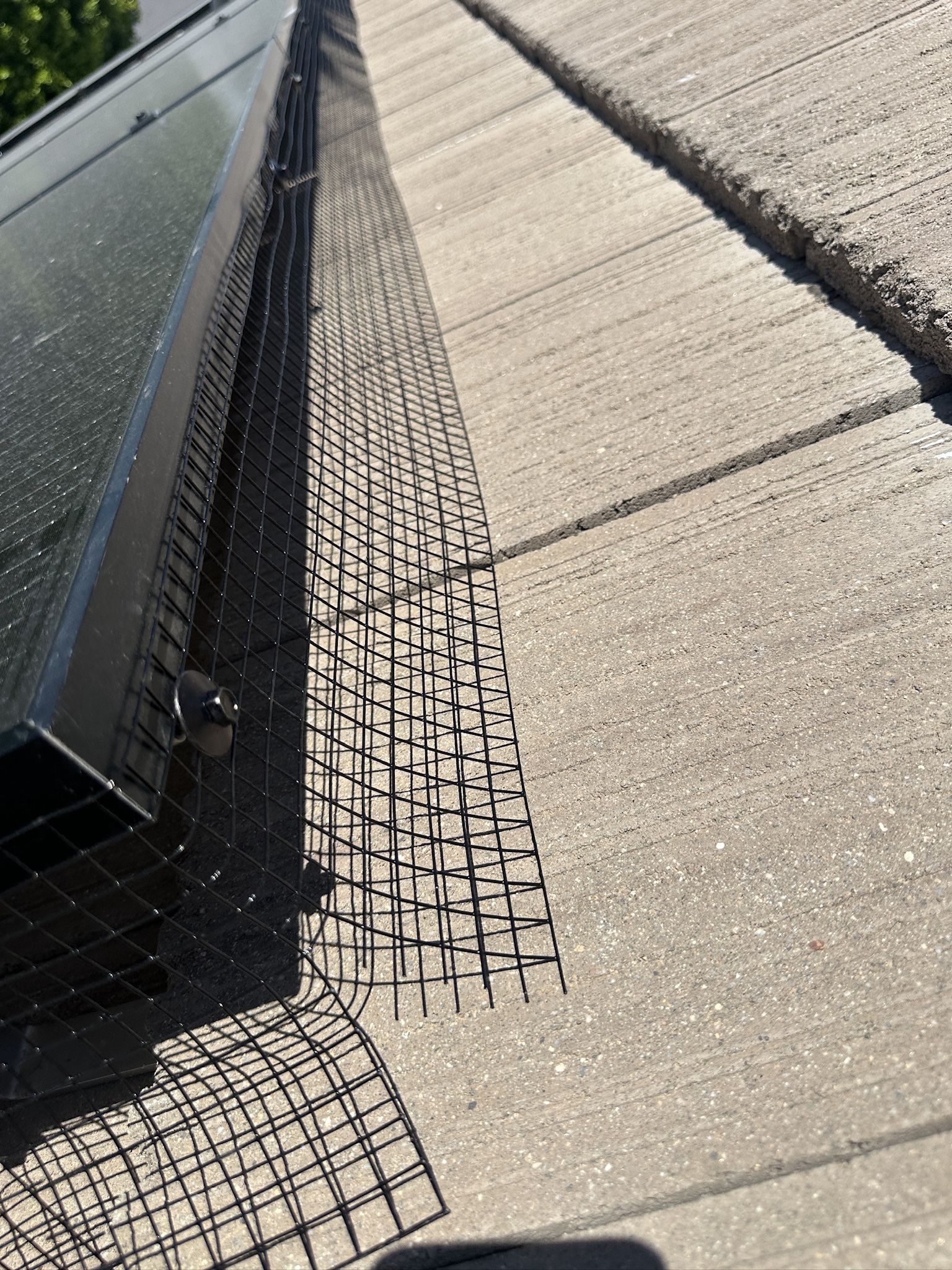 Solar Bird Guard