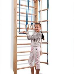 Awesome Exercise Ladder For EVERYONE