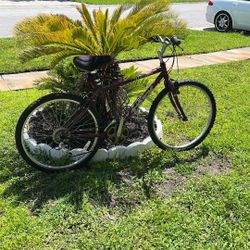 Trek 800 Sport Bicycle 10 Speed