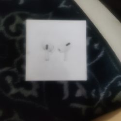 Apple Earphones 