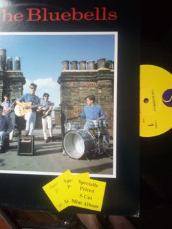 Blue bells vinyl