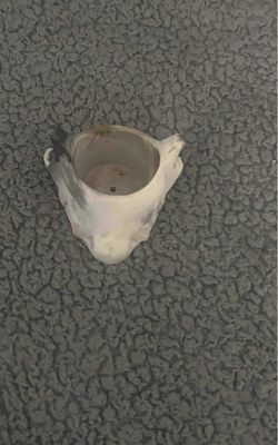 Carved animal design tiny planter