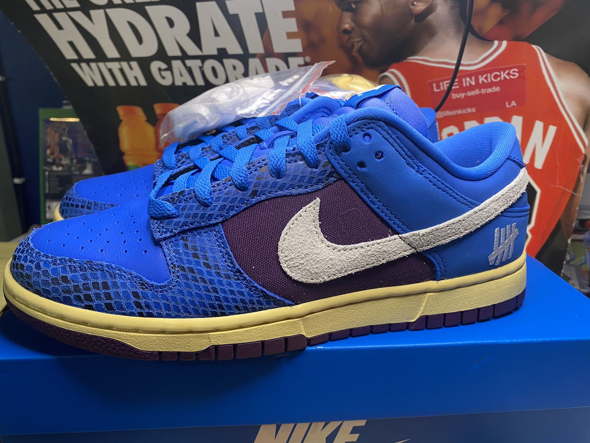 Nike Dunks Undefeated 5 On It