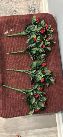 Holly With Berries