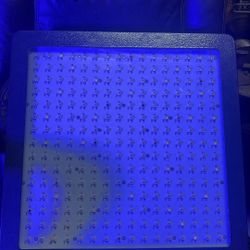 Grow Lights With Fans 