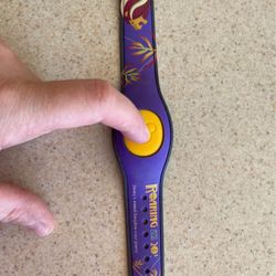 Cast Exclusive Disney Magic Band