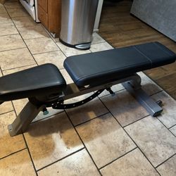 Dumbell Bench Precor Icarian Commercial 