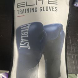 Boxing Training Gloves 