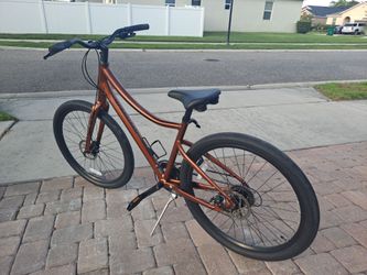 Giant Hybrid cruiser bike.