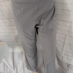 Investments Pants Size 16R